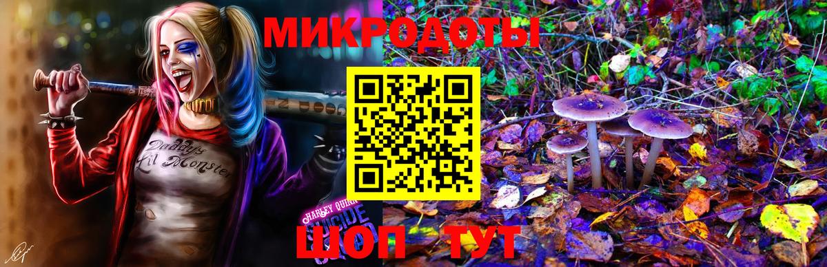 Минеральные Воды  Псилоцибиновые грибы MAGIC MUSHROOMS  Вход с VPN 